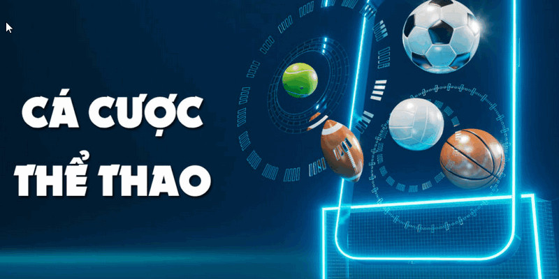 Ra mắt trên nhiều nền tảng trực tuyến