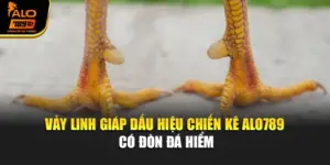 Vảy Linh Giáp – Dấu Hiệu Chiến Kê Alo789 Có Đòn Đá Hiểm